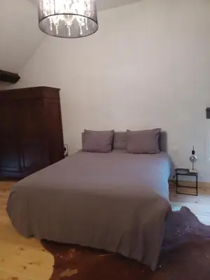 a bedroom with a large bed with purple pillows at Luxe-kamer Bed en Bokes in Drieslinter