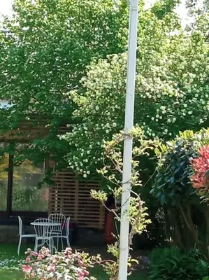 a garden with a table and chairs and a tree at Loft, parking privé, terrasse, entrée indépendante in Liège