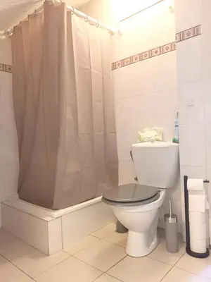 a white bathroom with a toilet and a shower at Modern studio in Saint-Nicolas, 35m², city view, parking in Ans