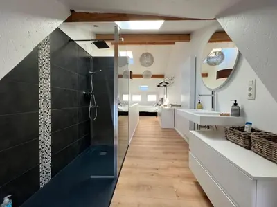 a bathroom with a shower and a sink and a mirror at Grand Triplex d'architecte en hypercentre in Liège