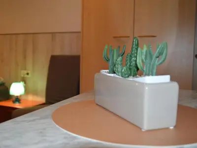 a cactus in a white pot sitting on a table at Verviers Villa with Sauna in Verviers
