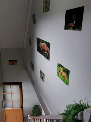 a white staircase with pictures on the wall at Ô Baguenaudes in Jalhay