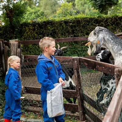 two children are looking at a giraffe at a zoo at Franciscushof in Pelt