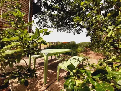 a green picnic table and a bench in a garden at Lodge op de Berg in Bree