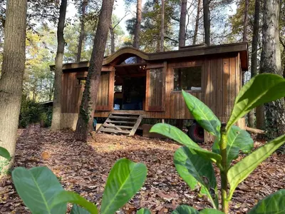 a tree house in the woods with a porch at Pipowagen de Kat in de Hoge Kempen nabij Maastricht in Lanaken