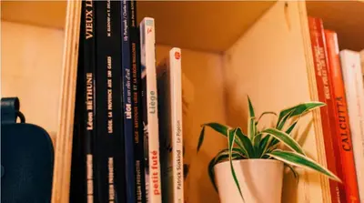 a book shelf with a potted plant and books at Le pigeonnier - TinyHouse en plein centre de Liège in Liège