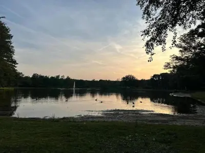 a lake with ducks in the water at sunset at Duplex Apartment in the shopping street of Maasmechelen in Maasmechelen