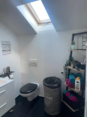 a bathroom with a toilet and a sink and a skylight at Le cocon de la belle liégeoise in Liège