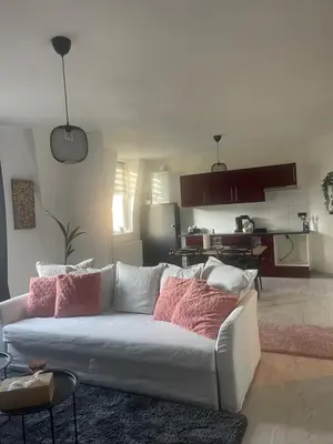 a living room with a white couch with pink pillows at Le cocon de la belle liégeoise in Liège