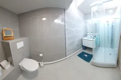 a bathroom with a shower and a toilet and a sink at Le Pepin Dort in Pepinster