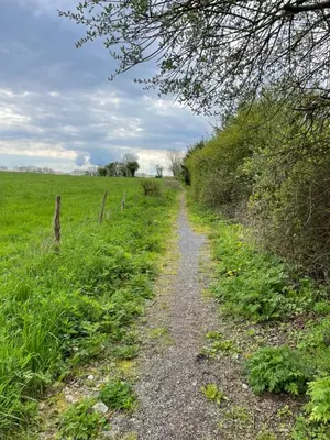 a dirt road in a field with a fence at Hof Gemehret in Eupen