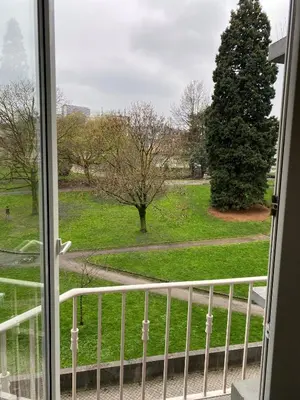 a view of a tree from a window at Cosy Louvrex -Liège Francorchamps in Liège