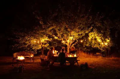 a group of people sitting at a table under a tree at night at Domein Tombos in Gingelom
